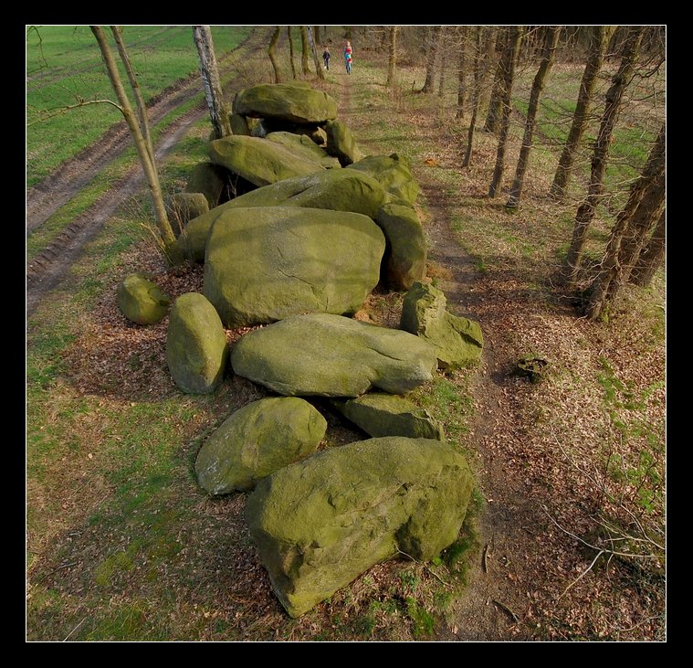 The massive 9 capstone chamber viewed from the North-West. Length is 21m, the width varies from 4m to 5m. Only one out of twenty-one orthostats is missing. Seven out of nine capstones [1] are preserved, but due to historic destruction attempts (including the removal of all smaller stones and the complete drywalling) the chamber largely collapsed. Only capstone C7 still is resting on its orthostats