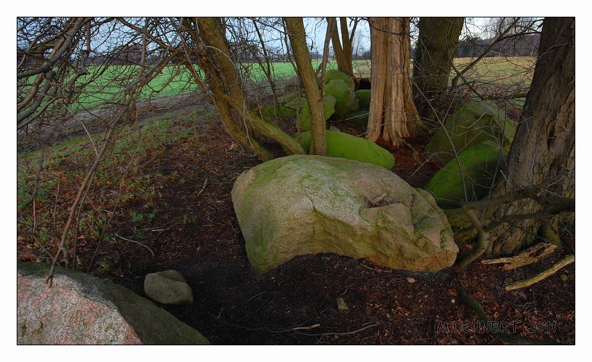 The site viewed from the West. February 2011.

Sprockhoff identified 4 orthostats and one capstone [1]. He mentioned a total number of eight preserved megaliths + fragments. The structure was already destroyed when Wächter examined it [1], [2]. Despite this damages Sprockhoff assumed the original ground-plan could be clarified by an excavation. 
Sitename: Hoststeine, Sprockhoff 899, Kalkriese 