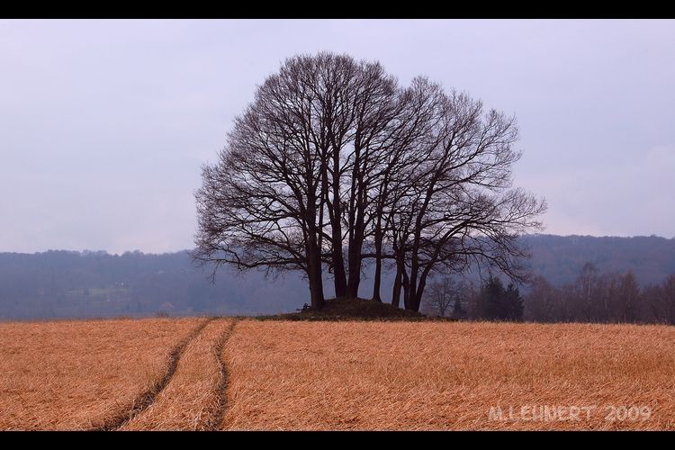 Click for the gallery page to add comments and vote (PID:46643) Schwagstorf-Felsen Huegelgrab