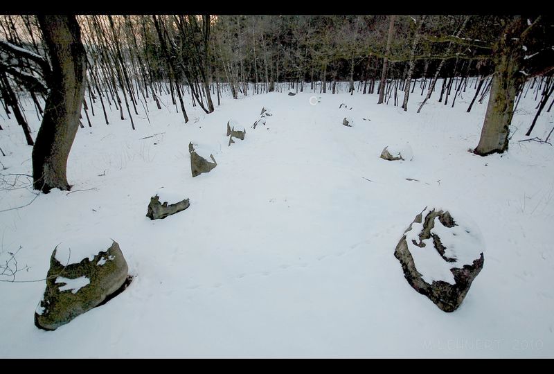 Suedsiedlung Ahlhorn Steingrab