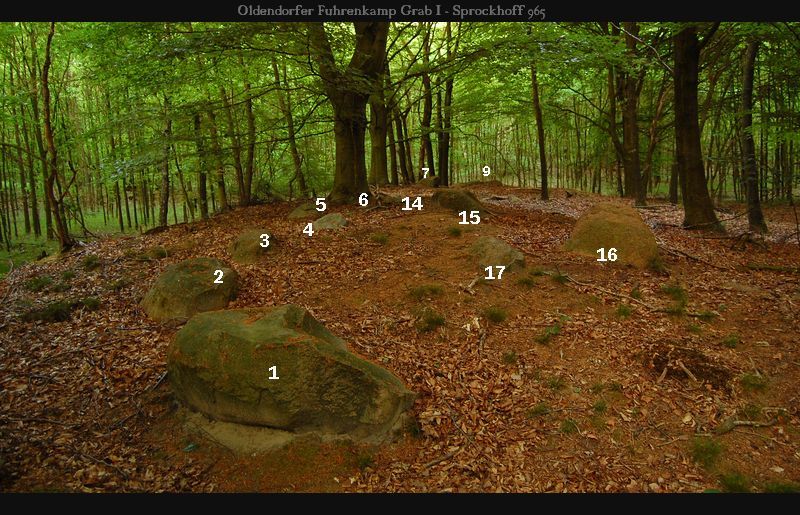 Click for the gallery page to add comments and vote (PID:46158) Oldendorfer Fuhrenkamp (1)