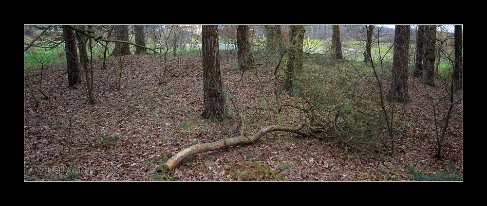 Click for the gallery page to add comments and vote (PID:87771) Bargloyer Brookbäke Grab (4)