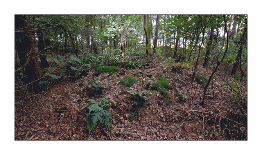 Click for the gallery page to add comments and vote (PID:82582) Lindern Herrensand Huegelgraeberfeld