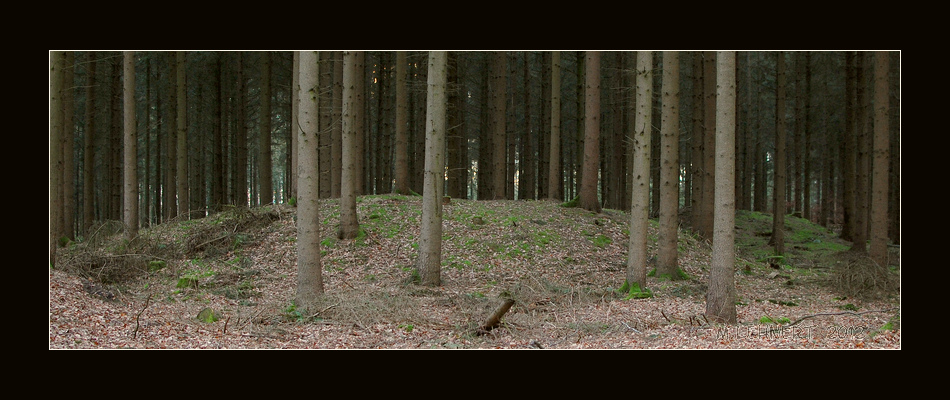 Click for the gallery page to add comments and vote (PID:87243) Einen Hügelgräberfeld