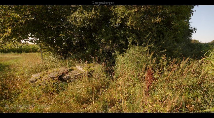 Click for the gallery page to add comments and vote (PID:50030) Heerstedt Langenbarg Steinkiste
