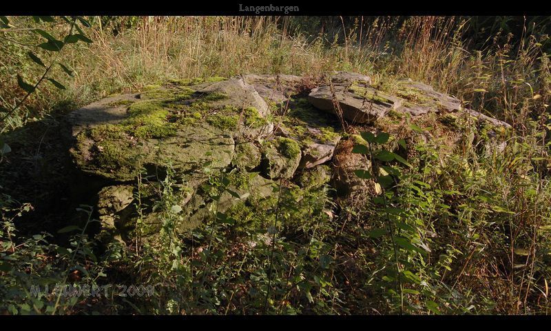 Click for full size image of Heerstedt Langenbarg Steinkiste (PID:50029) Heerstedt Langenbarg Steinkiste
