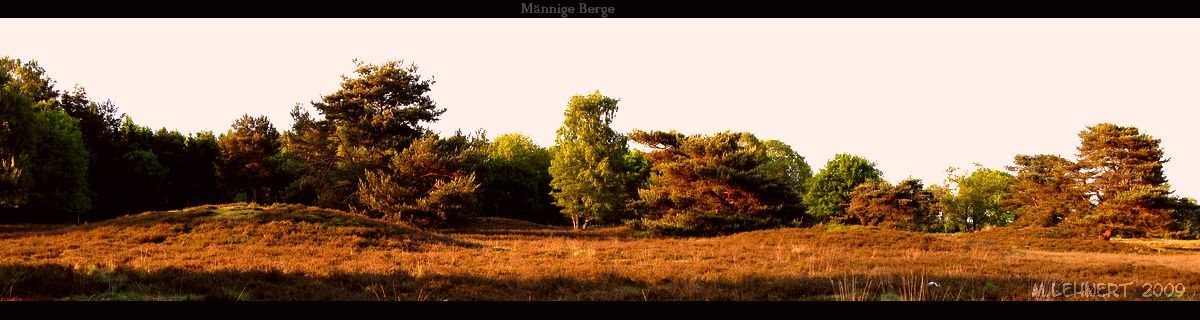 Click for the gallery page to add comments and vote (PID:47367) Maennige Berge Huegelgraeberfeld