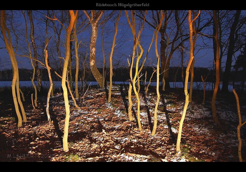Click for the gallery page to add comments and vote (PID:56461) Ruedebusch Huegelgraeberfeld