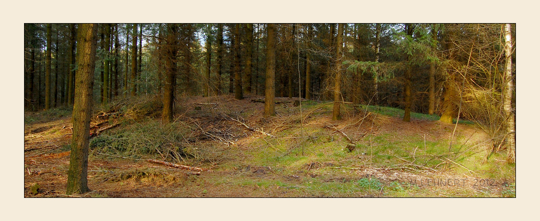 Click for the gallery page to add comments and vote (PID:88517) Schmeersteine Huegelgrab (1)