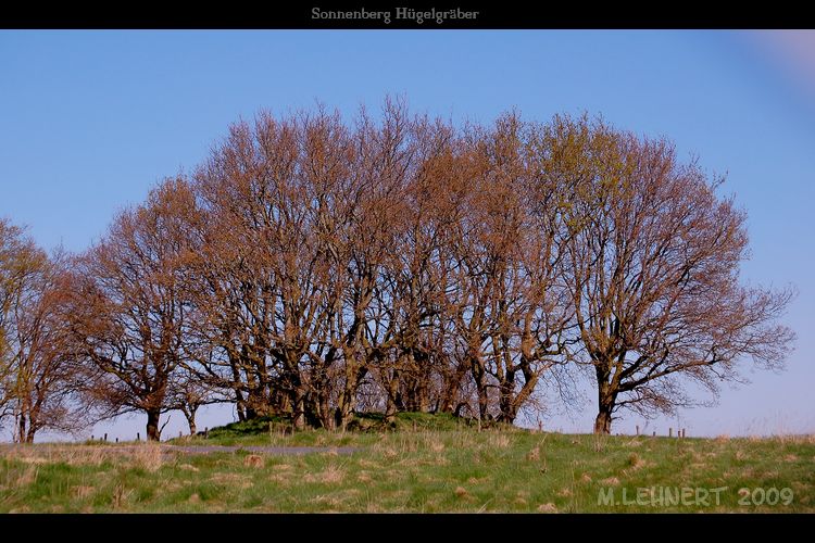 Click for the gallery page to add comments and vote (PID:47395) Sonnenberg Huegelgraeber