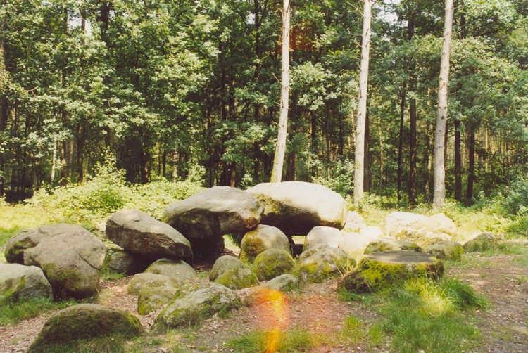 Grosssteingrab Hünensteine in Thuine (summer 2002).