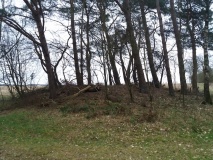 Hügelgräber bei Godenstedt