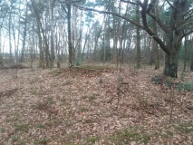 Hügelgräberfriedhof Hepstedt - Wiste