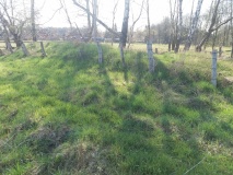 Grabhügel bei Brauel