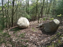 Hügelgrab bei Hagenah (Nr. 10)