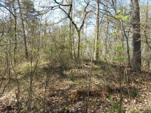 Hügelgräber bei Hagenah (Nr. 2-3)