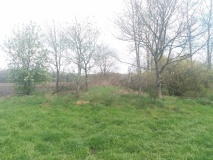 Hügelgräber bei der Siedlung Heinbockel (5)