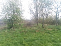Hügelgräber bei der Siedlung Heinbockel (5)
