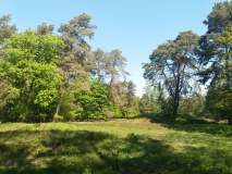 Goldbeck Huegelgraeberfeld
