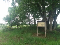 Hügelgrab in Scheeßel (2)