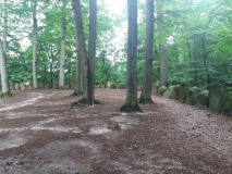 Rillensteine im Sachsenhain
