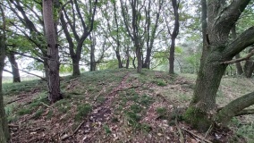 Hügelgrab bei Köhlen (1)