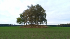 Sieben Berge Stühren