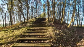 Wanna Gravenberg