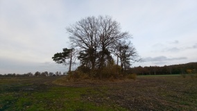 Hügelgrab bei Wedel (1)
