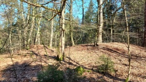 Floegeln Grabhuegelgruppe (Floegeln 3)