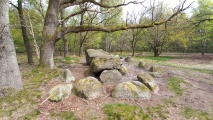 Click for full size image of Gross Berssen Steingrab 8 'Koenigsgrab' (PID:240663) Gross Berssen Steingrab 8 'Koenigsgrab'