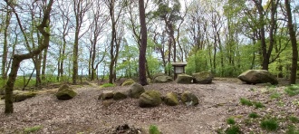 Gross Berssen Steingrab 1 'Ipeken Tannenwald'