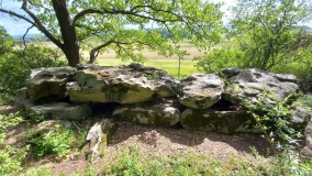 Grosssteingrab am Dorm