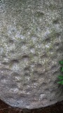 Schalenstein von Heerstedt