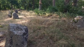 Altenmedingen Langbett 1