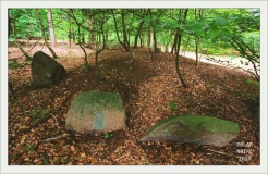 Horneburg Langbett 1
