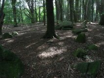 Bliedersdorf Langbett 2