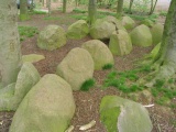 Steinkimmen Steingrab 2 - PID:13773