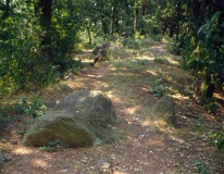 Altenmedingen Langbett 1