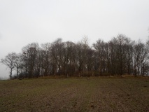 Grabhügel Haveschenberg