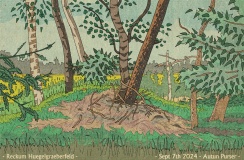 Reckum Huegelgraeberfeld