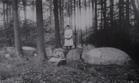Ostereistedt Steingrab