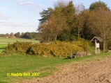 Click for full size image of Siddernhausen Grosssteingrab (PID:42877) Siddernhausen Grosssteingrab