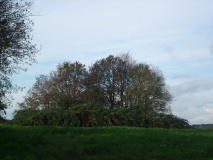 Gudendorf Sadelsgrund Huegelgrab (2)