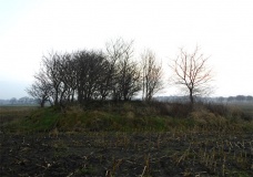 Schabsborndehlen Huegelgraeberfeld