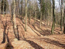 Schnippenburg Hillfort