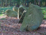 Suedsiedlung Ahlhorn Steingrab