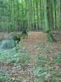 Click for full size image of Barskamp Steingrab 6 (PID:34221) Barskamp Steingrab 6