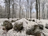 Klecken Langbett - PID:283553