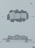 Hammah Steingrab 1